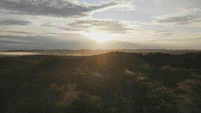 Sunrise over a lush forest landscape