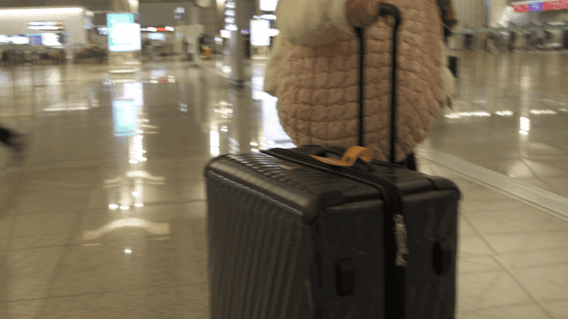Person walking with suitcase at airport