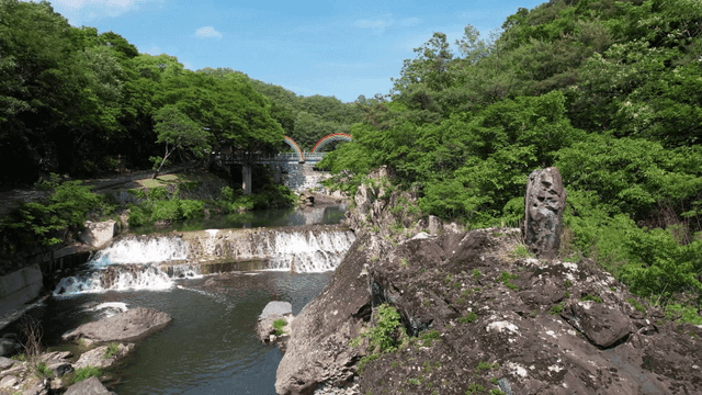 다리와 푸른 숲이 있는 고요한 강