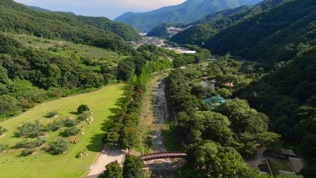 Vast landscape of green trees and mountains