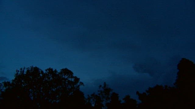 Dark navy night sky over a silhouette of trees