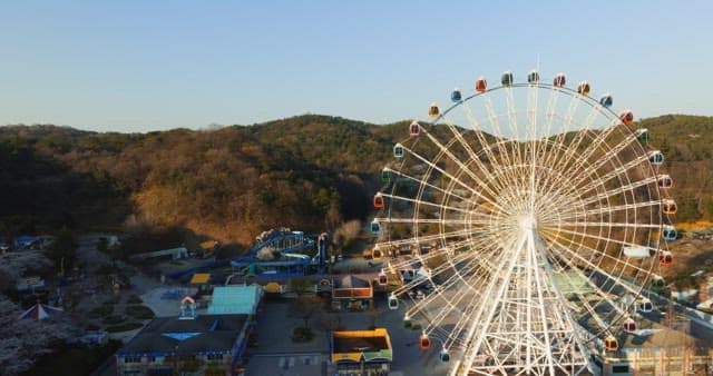 Ferris wheel in an amusement park during daytime