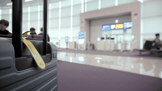 공항 터미널 탑승구 앞 캐리어 여행가방