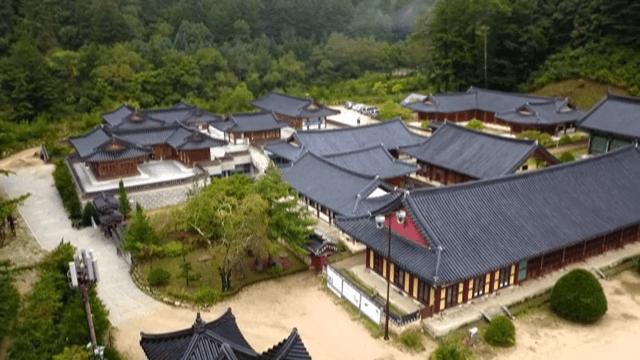 숲으로 둘러싸인 전통 한국 건물