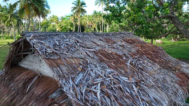 오두막이 있는 해변가의 생생한 녹지에 있는 소