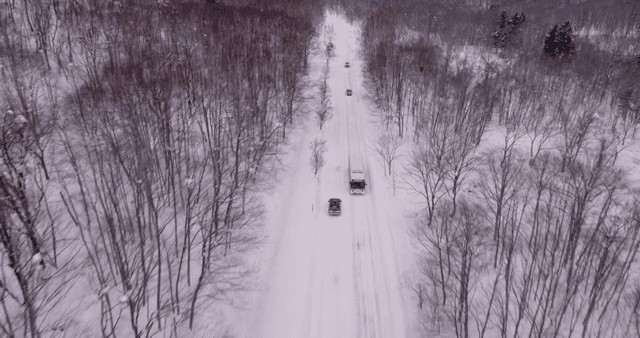 눈 덮인 숲을 달리는 자동차