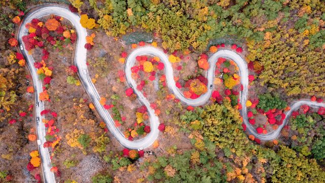 Winding road through colorful autumn forest