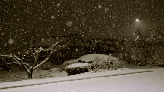 밤에 조용한 동네에 내리는 눈