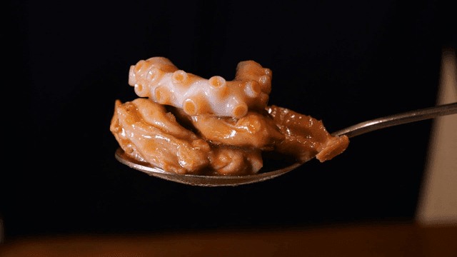 숟가락 위의 문어와 닭고기