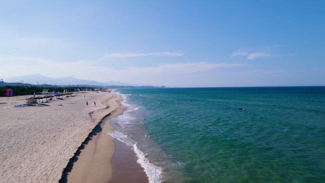 People Enjoying the Water at the Beach