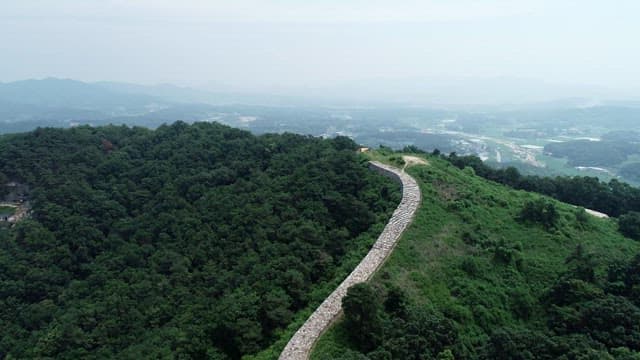 마을이 보이는 울창한 산 풍경