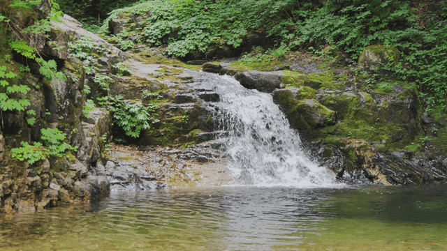 Clear valley quietly flowing between trees