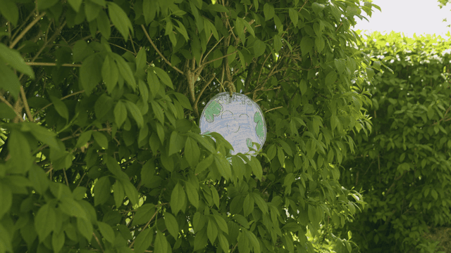 Tree with children's drawings hanging on it