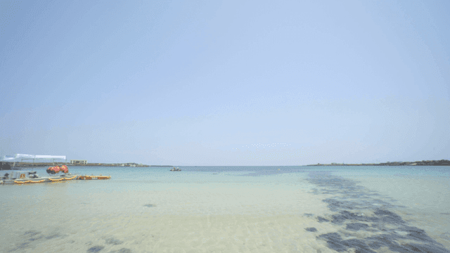 Serene beach with clear blue water