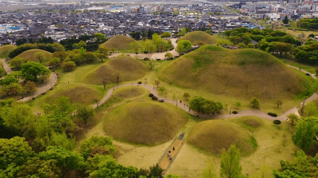 풀이 무성한 고대 무덤의 전경