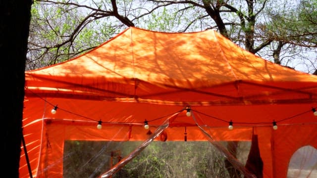 Bright orange tent in the green forest during the day