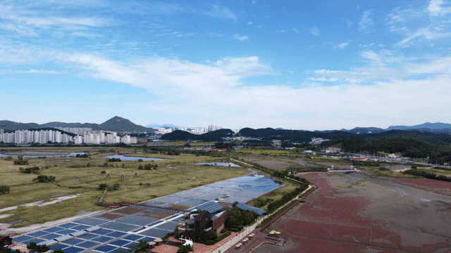 Wetland, meadow, field, city park landscape