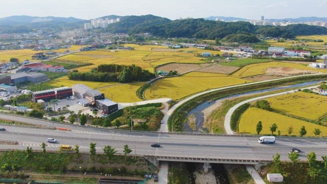 Expansive farmland with a nearby village