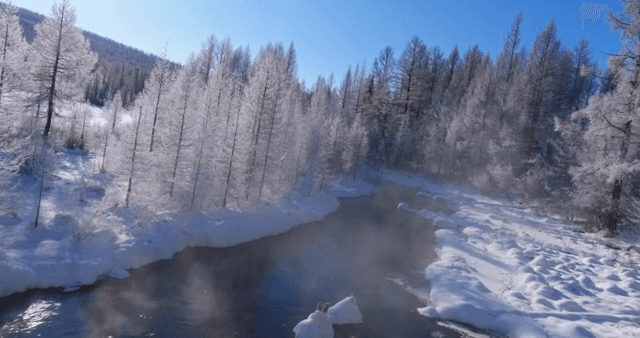 흐르는 강이 있는 겨울 숲
