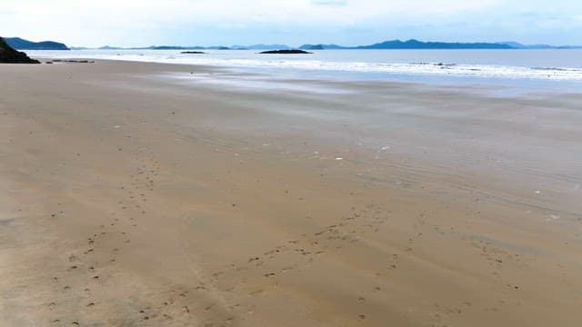 Serene beach with gentle waves