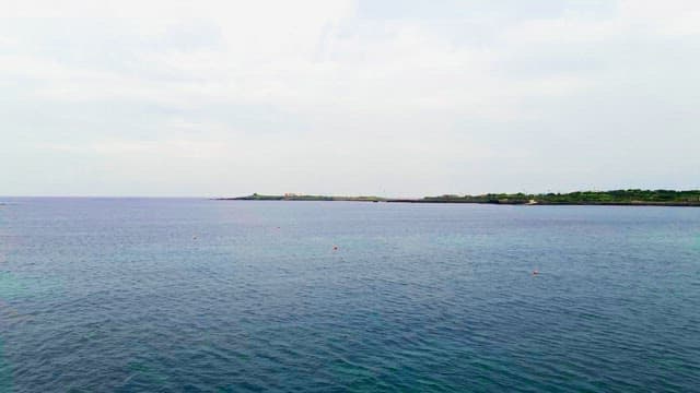 먼 해안선이 보이는 아름다운 해안 풍경