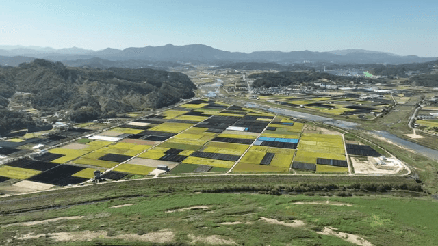 산을 배경으로 한 넓은 농경지