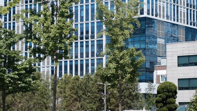 싱그러운 가로수 사이로 보이는 도시의 빌딩  풍경