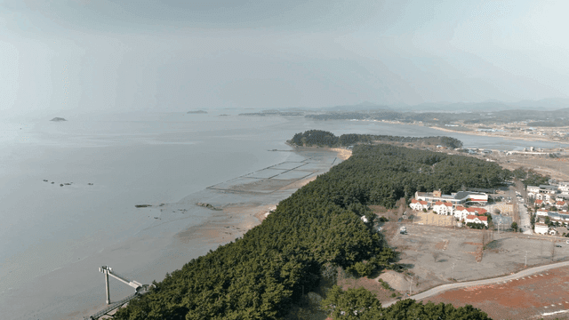 Coastal scenery with forests and mudflats
