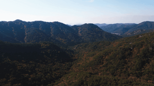 푸른 숲이 우거진 광활한 산맥