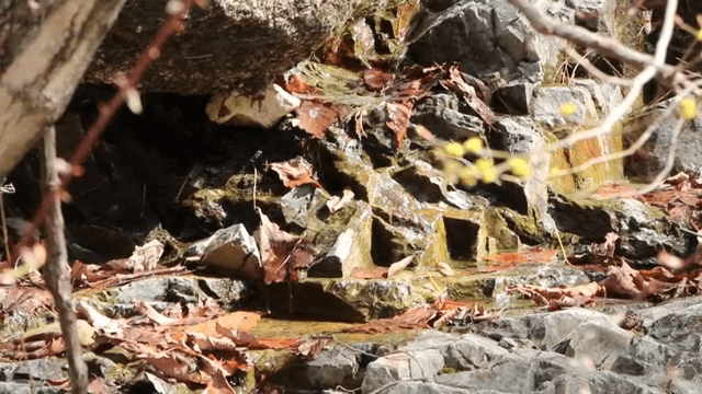 Small stream flowing over rocks