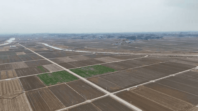 Wide farmland with straight dirt road