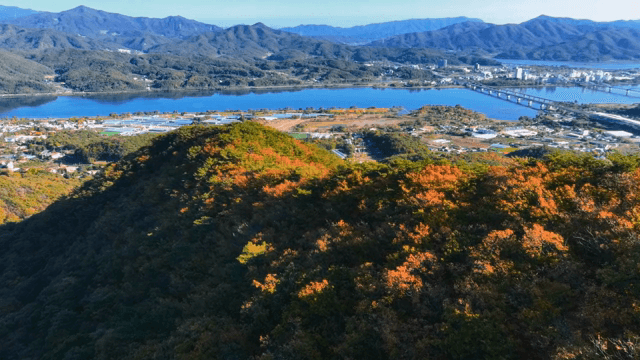 멀리 산이 보이는 가을 숲