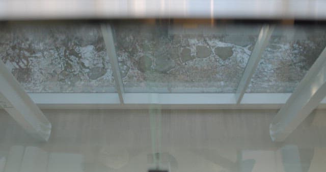 Woman Working Indoors with a View of Snowy Grounds