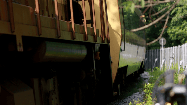 Train moving through a forested area