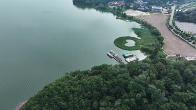 Aerial View of a Heart-Shaped Water Plant Island