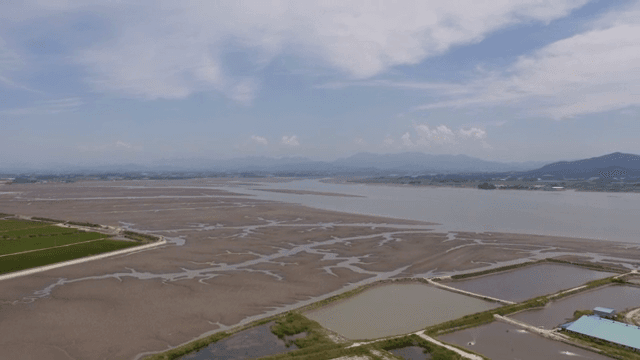 Sea with water drained under a blue sky