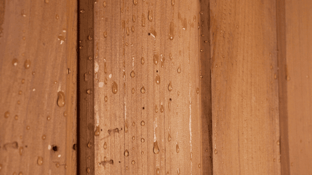 Water droplets on wooden wall