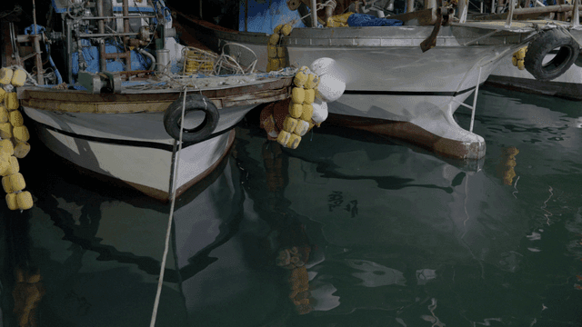 Fishing boats docked at pier