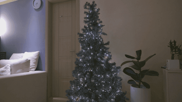 Christmas tree in cozy living room