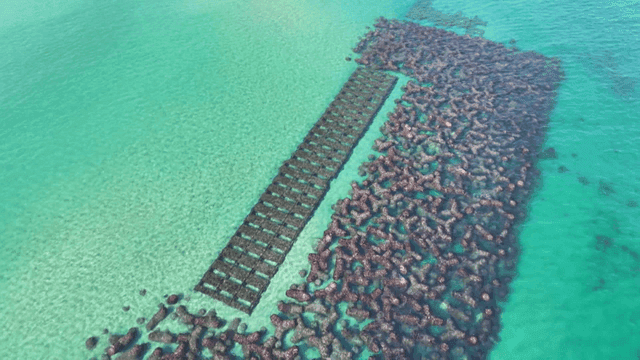 Coastal breakwater structures in clear water