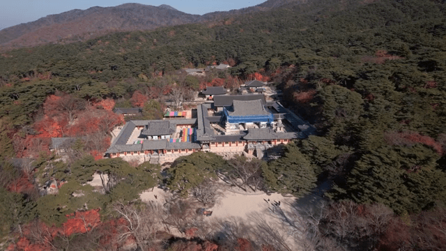 가을 단풍에 둘러싸인 전통 한국 사찰