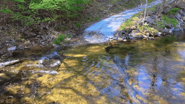 Clear stream flowing through a forest