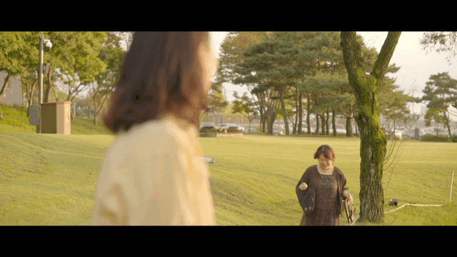 Two women meeting in a sunny park