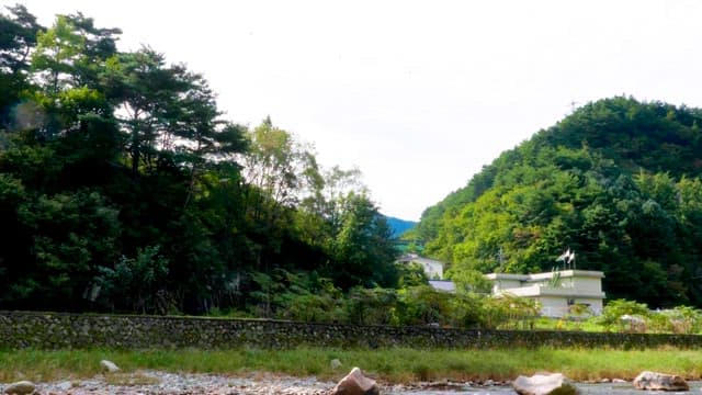 Houses in a rural area filled with green bushes and trees