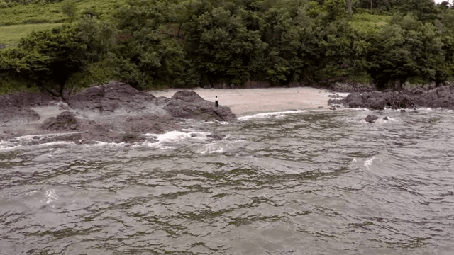 파도와 녹음이 있는 바위 해변