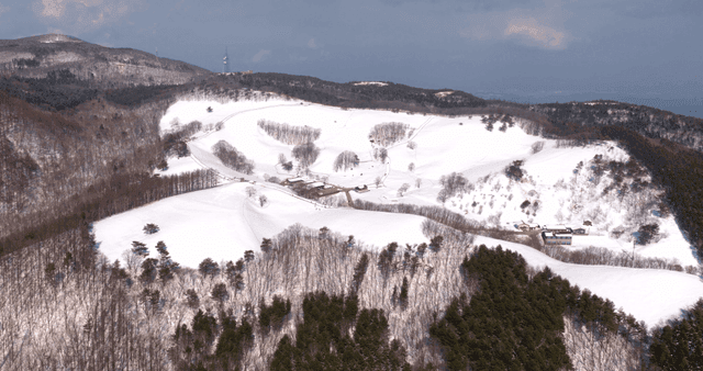Snow-covered mountains and forests