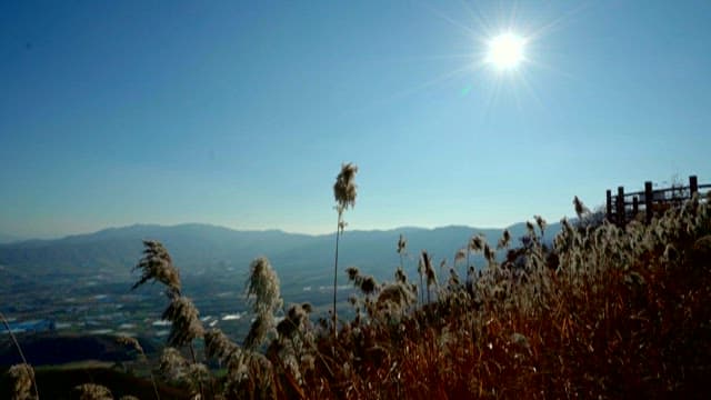 산정상의 평화로운 풍경
