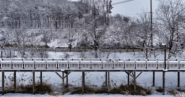 눈 덮인 다리와 숲