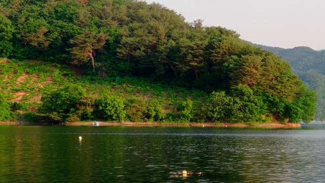 Peaceful forest and calm lake scene in the late afternoon