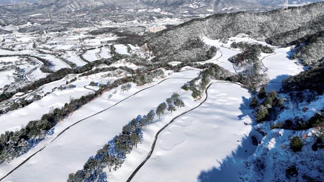 Snowy Landscape with Pine Trees and Mountains